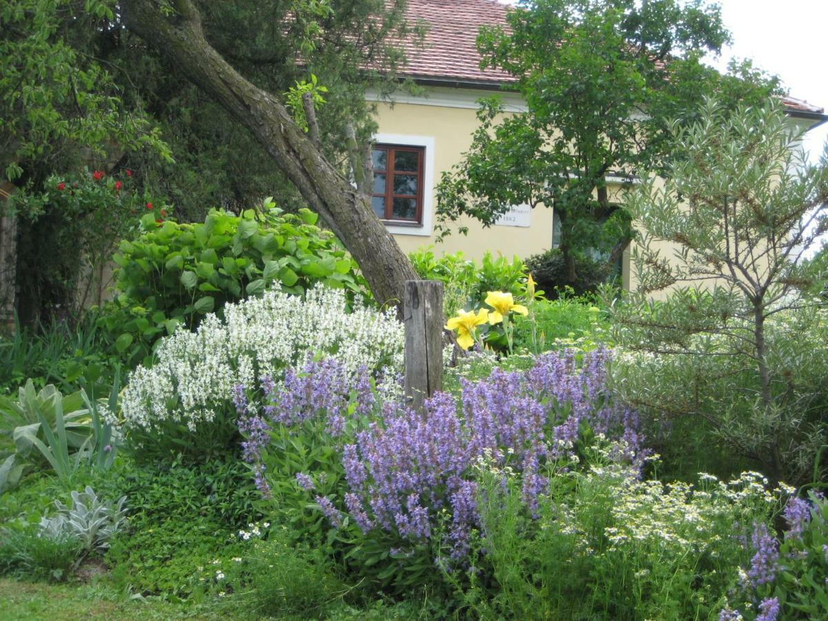 Bed and Breakfast Mala Kmetija Slovenske Konjice Zewnętrze zdjęcie