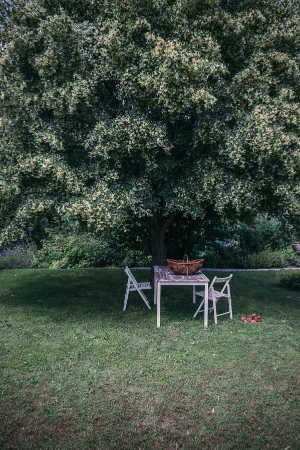 Bed and Breakfast Mala Kmetija Slovenske Konjice Zewnętrze zdjęcie