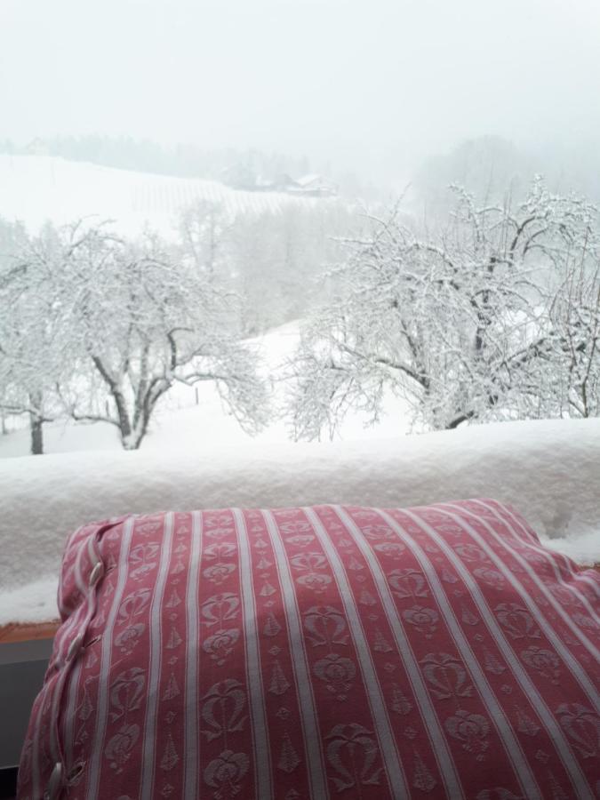 Bed and Breakfast Mala Kmetija Slovenske Konjice Zewnętrze zdjęcie